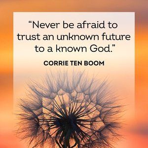 Meet your Posher, Brandi